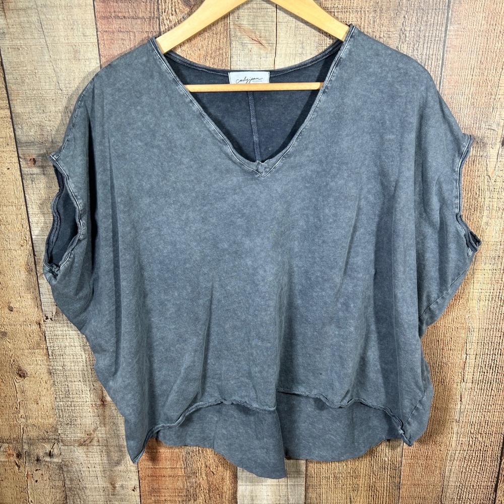 Carly Jean Los Angeles Mineral Wash Oversized V Neck Top Gray Boxy Small
